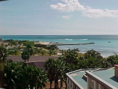 View from a 5th floor Studio (16KB)