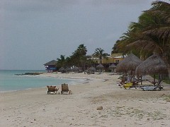 A Beach View from the Oranjestad end of Tamarijn/Dutch Village