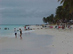 Druif Beach Looking towards Manchebo Point