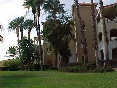 Viewing the B Building from the Pool Area