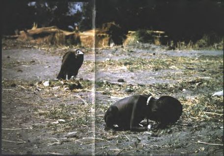 starving little girl being stalked by a vulture