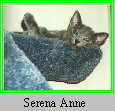 Serena Anne