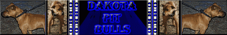 Dakota Pit Bulls