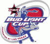 PBR