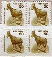 Nilgiri Tahr