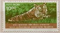 Sunderbans Tiger