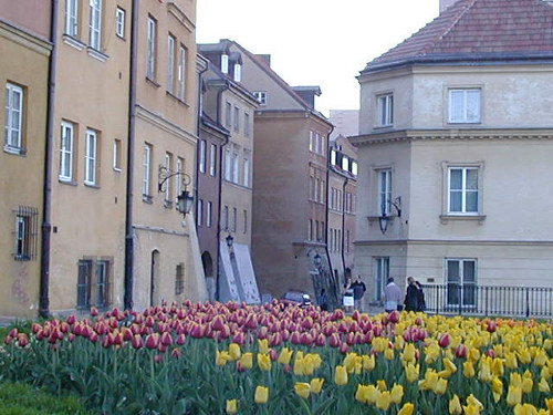 Somewhere in Old town