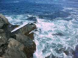 Ocean from the Cliff Walk