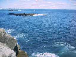 Ocean from the Cliff Walk