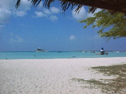 Palm Beach