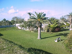 Garden at Fort Hamilton.