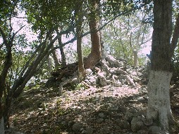 One of the buried Mayan buildings.
