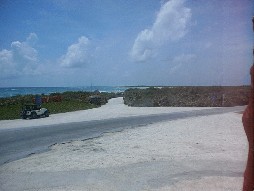 Road to the lighthouse