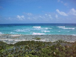 Scenery along the highway.