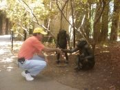 Ernie at Dallas Zoo