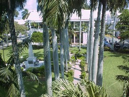 Park from the library.