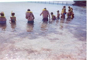 Ernie, third from left, waiting with others to feed stinrays.