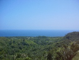 The Carribean from a high point.