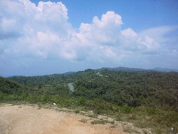 Looking back at the road we just traveled.