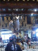 Record 78 Point White-tailed Deer