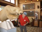 Ernie Being Attacked By A Polar Bear