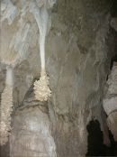 Lion's Tail Formation