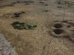 Prairie Dog Village In Albuquerque
