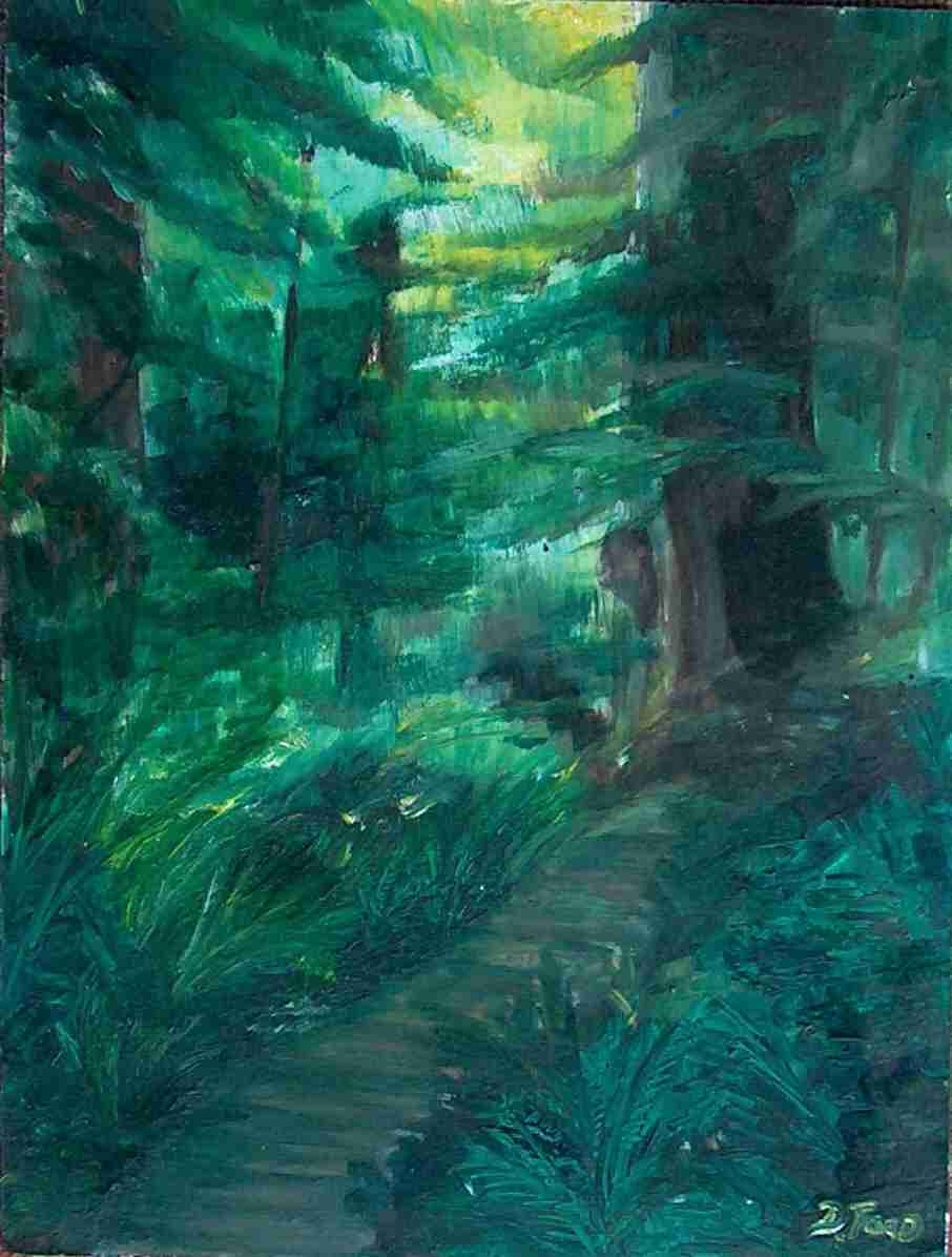 Boardwalk through Vancouver island forest