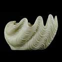 Giant Clamshell