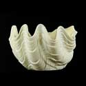 Large Clamshell