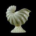 Standing Nautilus