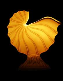 Standing Nautilus