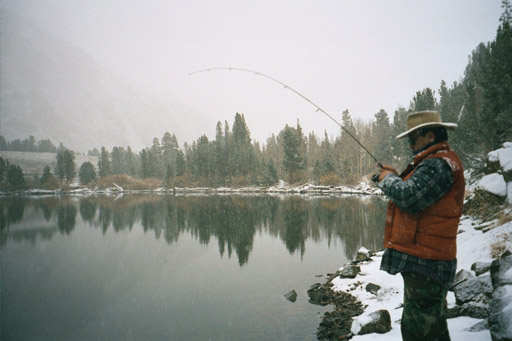 Sherwood at Big Virginia in the snow