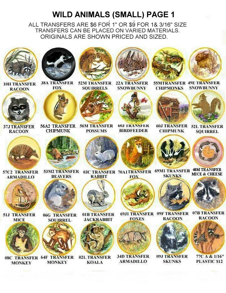 Pictures of small wild animals