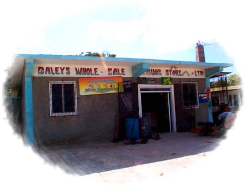 Daley's Wholesale Food & Liquor Store