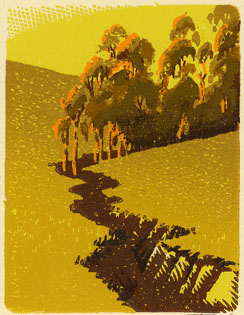 eucalyptus gulch