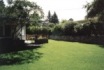 new lawn in the backyard with half of upper drive removed