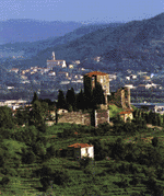 castello scalinger near arzingnano...