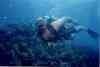 scuba diving in cancun