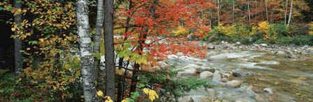 a river in the mountains....