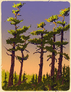 pines