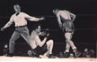 'Left Hook'  - by Robert D' Elia