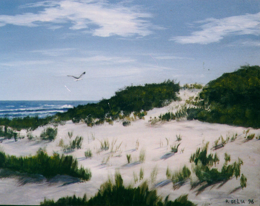 Sand Dunes at Sandy Hook, NJ