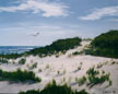Sand Dunes, Sandy Hook, NJ