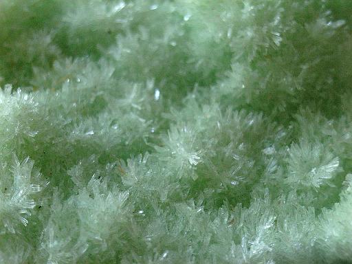 GypsumGreen1-2.JPG