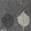 Silver_Leaf