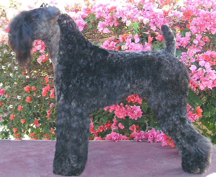 finn14months