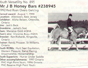Mr J B Honey Bars