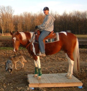 Under Saddle