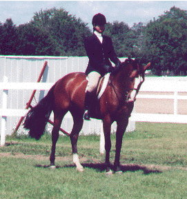 at a show
